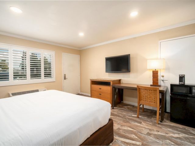 A hotel room with a bed, desk, TV, and mini-fridge.