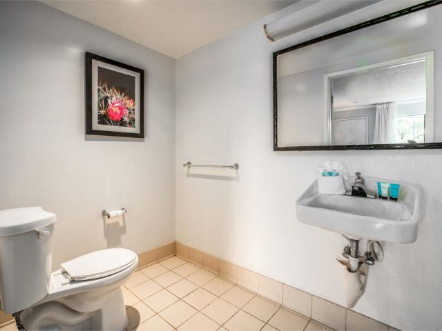 A clean bathroom with a toilet, sink, and mirror.