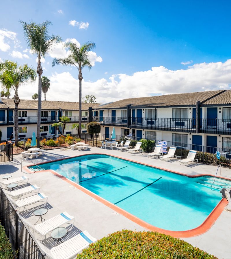 A hotel pool area with a rectangular pool, lounge chairs, and palm trees